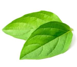 Environmental Protection